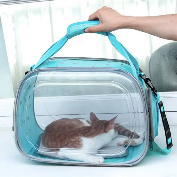 Pet Carries and Travel Accessories