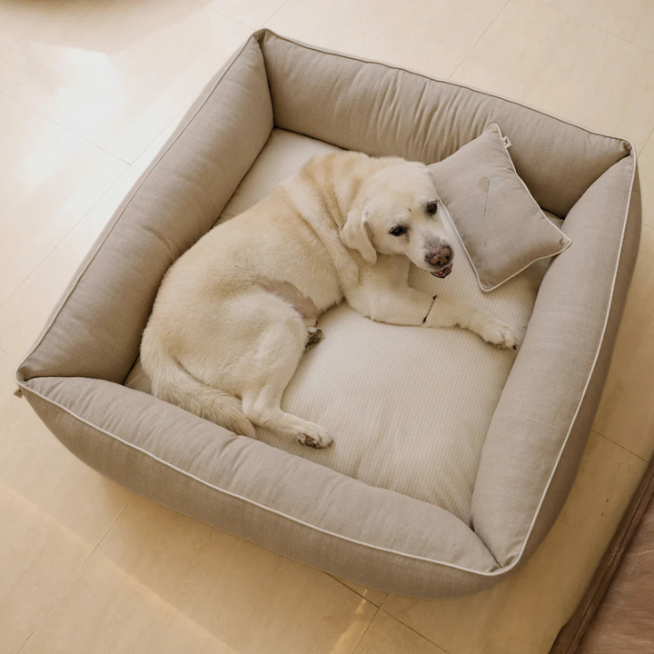 Pet Bedding