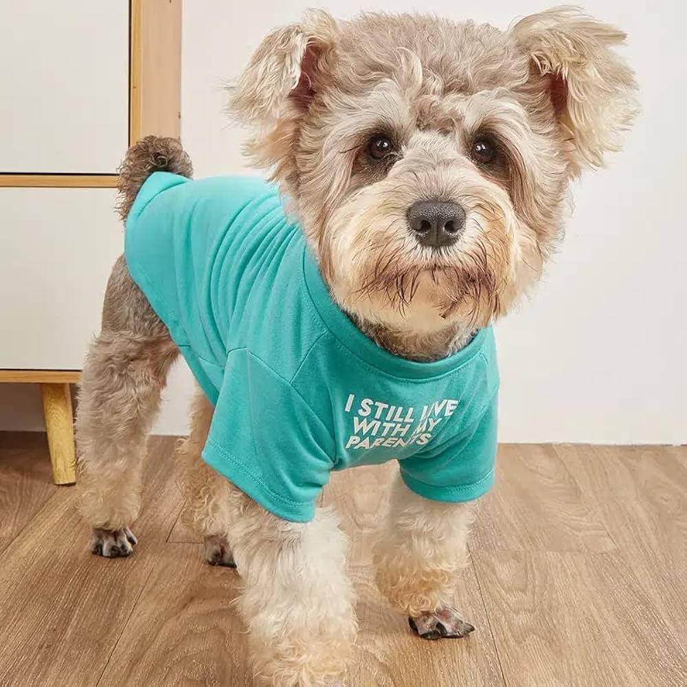 Pet Apparel
