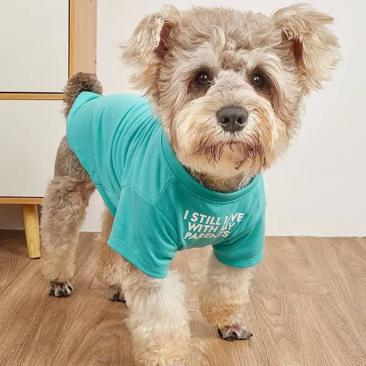 Pet Apparel