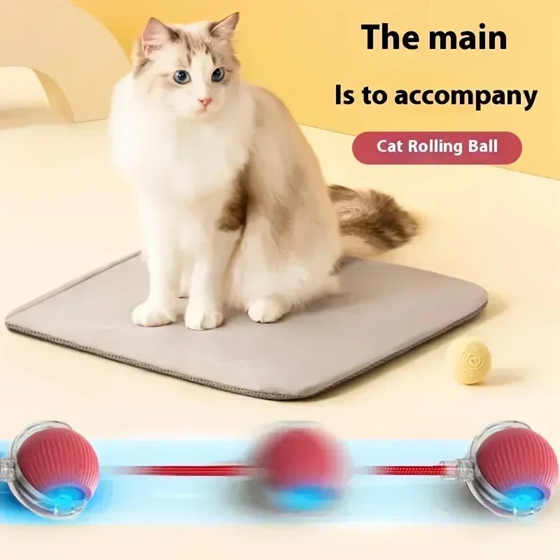 Rechargeable Interactive Cat Toy Ball – Automatic Rolling Pet Toy with Tail