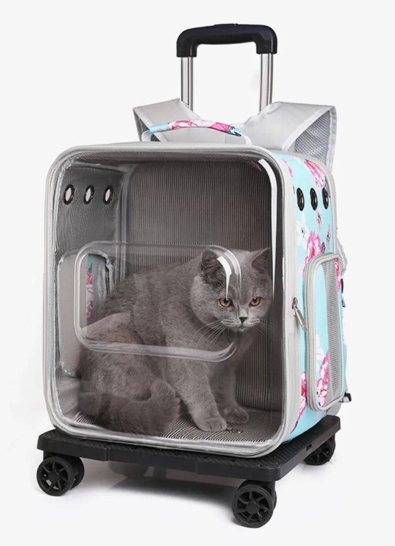 Folding Transparent Cat Stroller