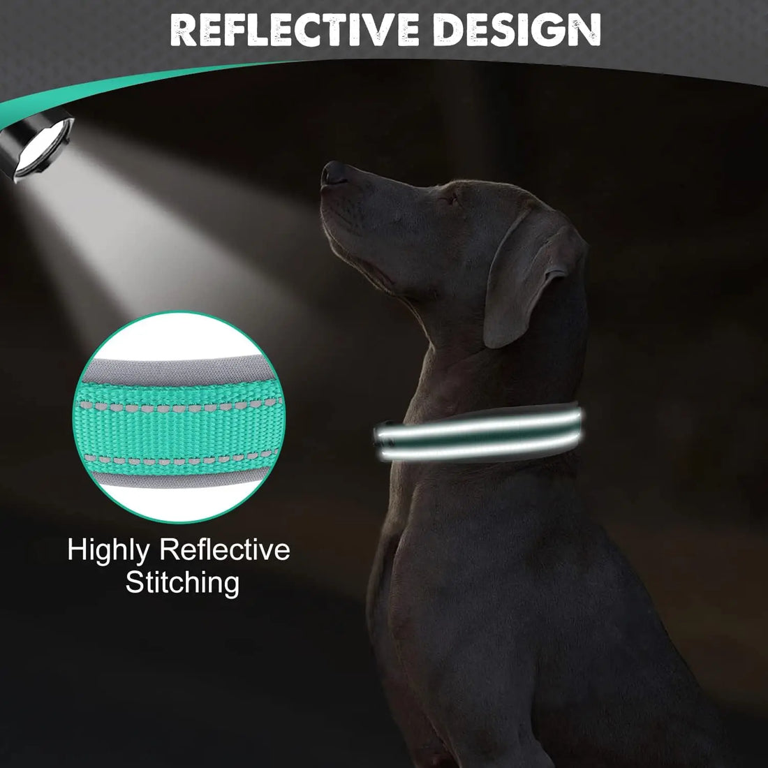 Padded Reflective Dog Collar – Adjustable Nylon Neoprene for All Sizes