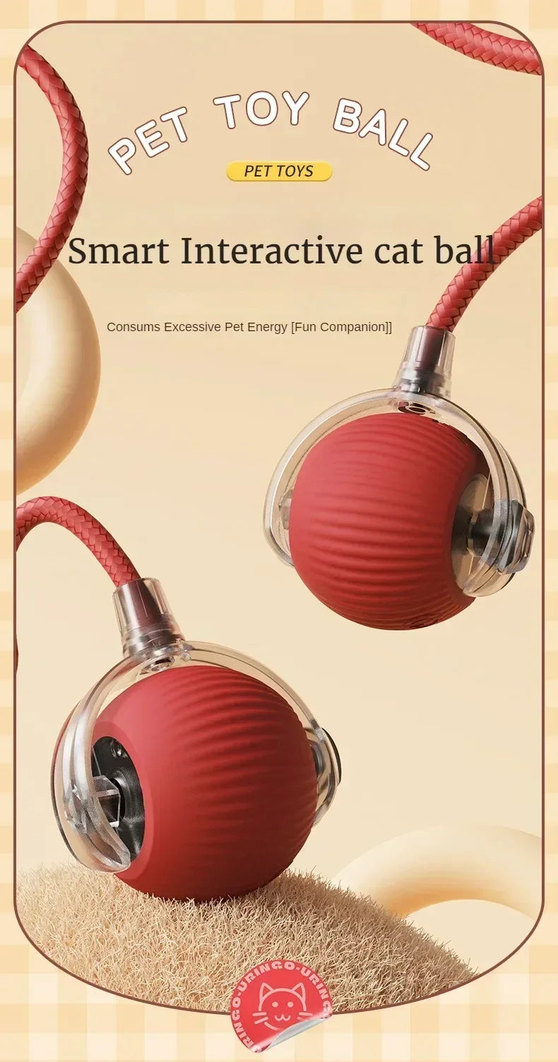 Rechargeable Interactive Cat Toy Ball – Automatic Rolling Pet Toy with Tail