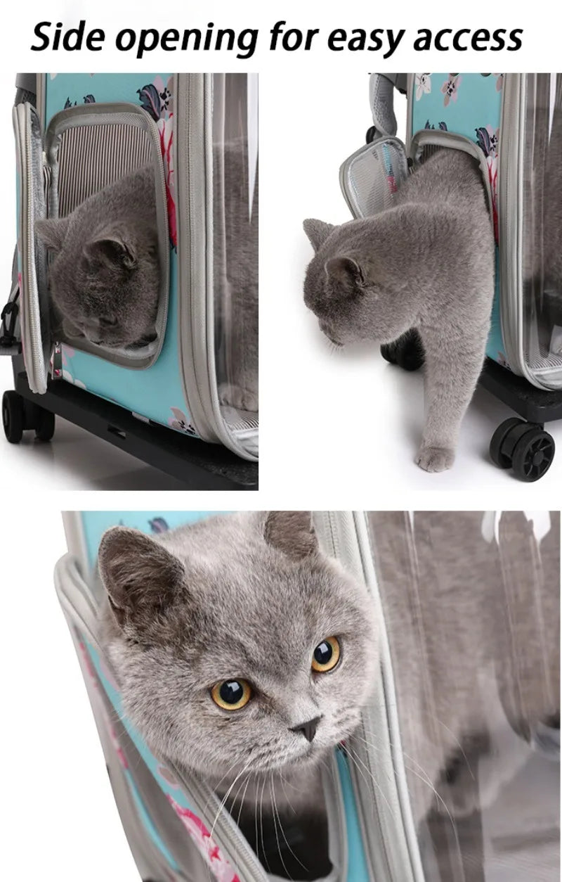 Folding Transparent Cat Stroller