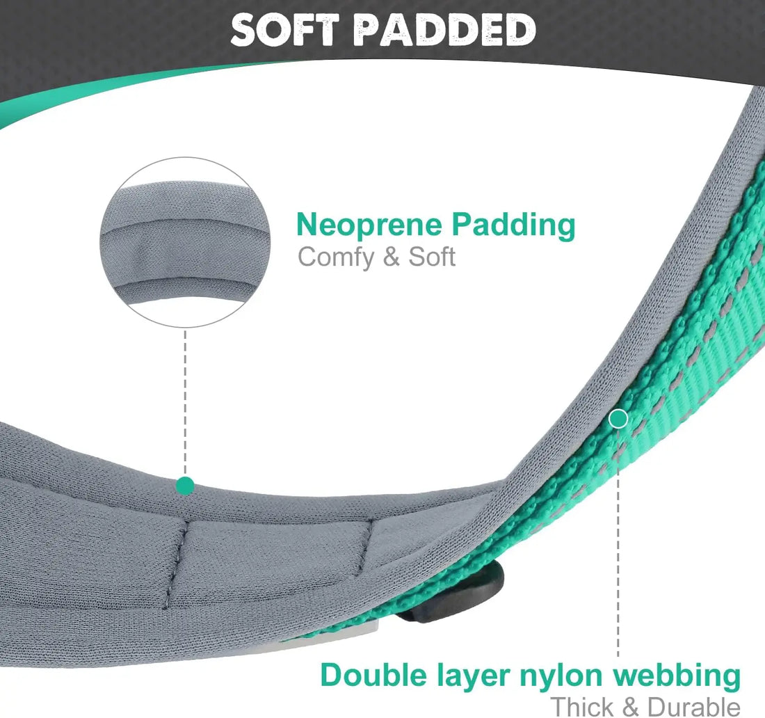 Padded Reflective Dog Collar – Adjustable Nylon Neoprene for All Sizes