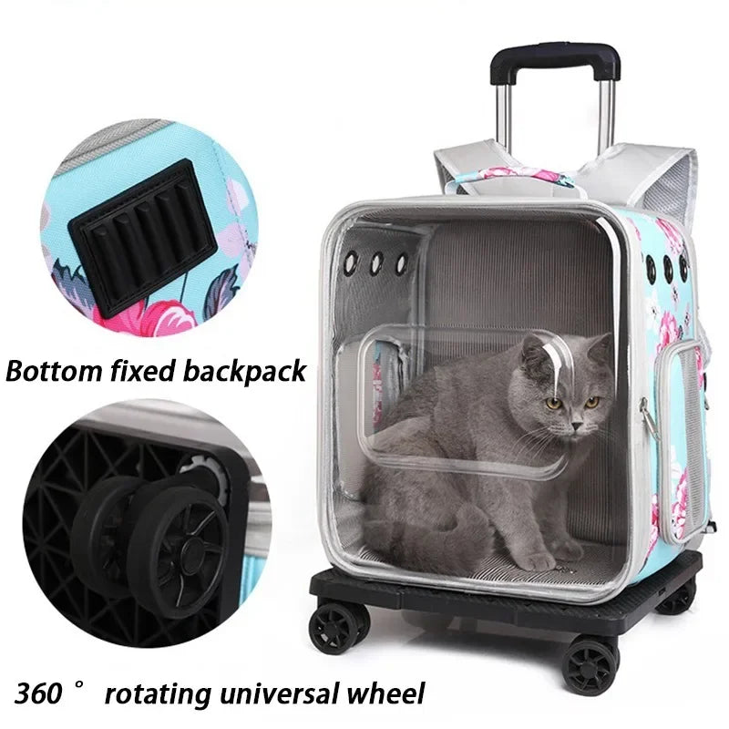 Folding Transparent Cat Stroller