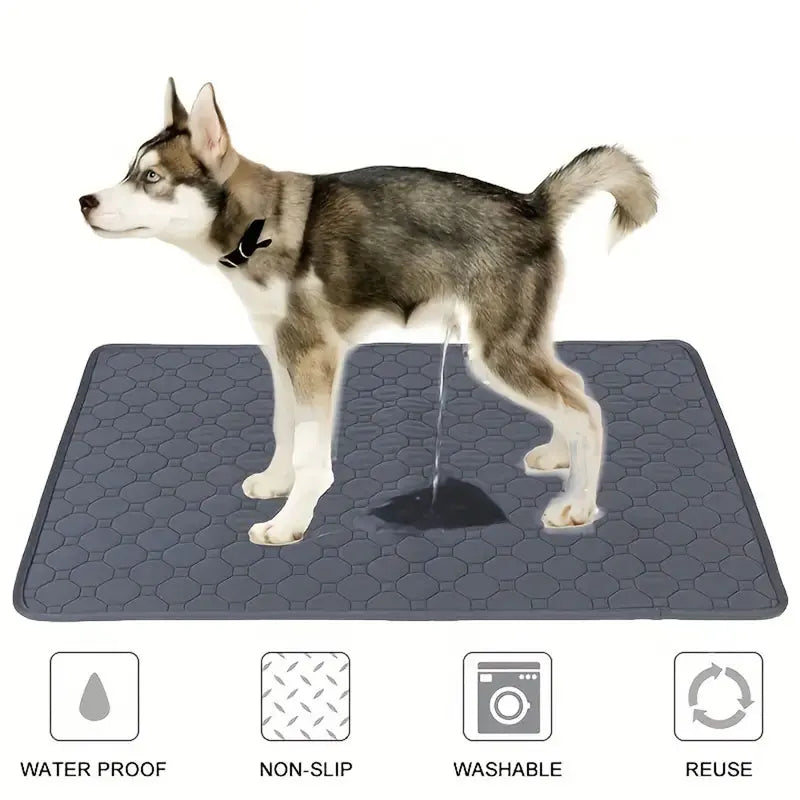 Reusable Waterproof Dog Pee Pad – Washable Training Mat