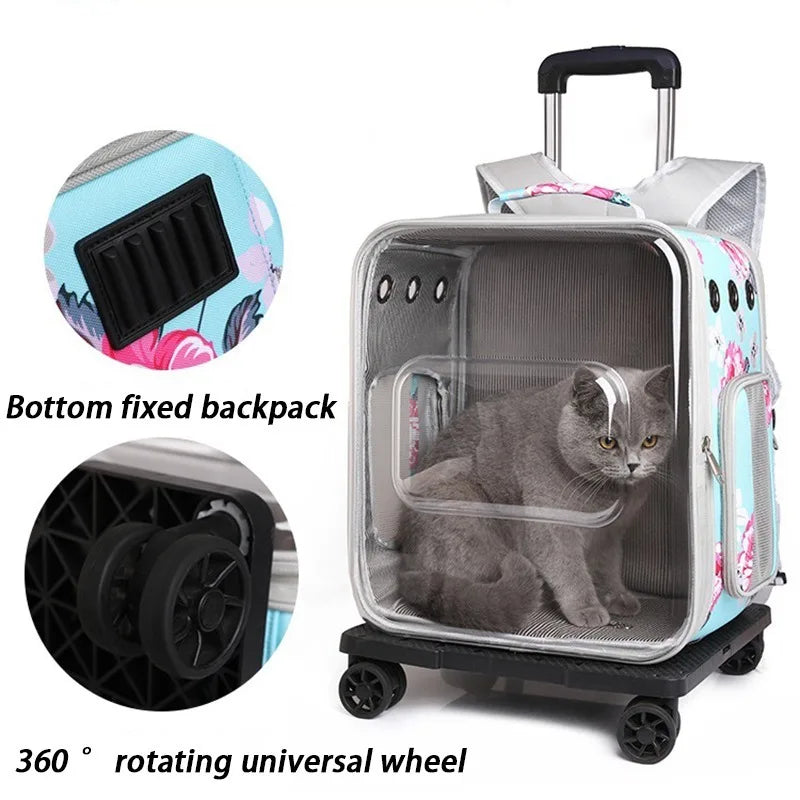 Folding Transparent Cat Stroller