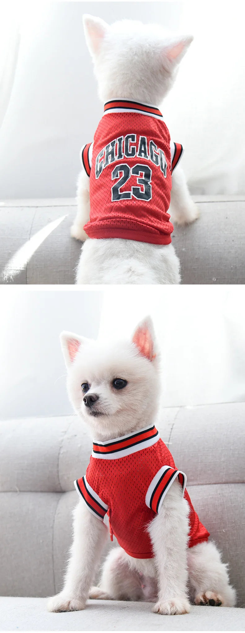 Mesh Breathable Dog Jersey – Summer Pet T-Shirt
