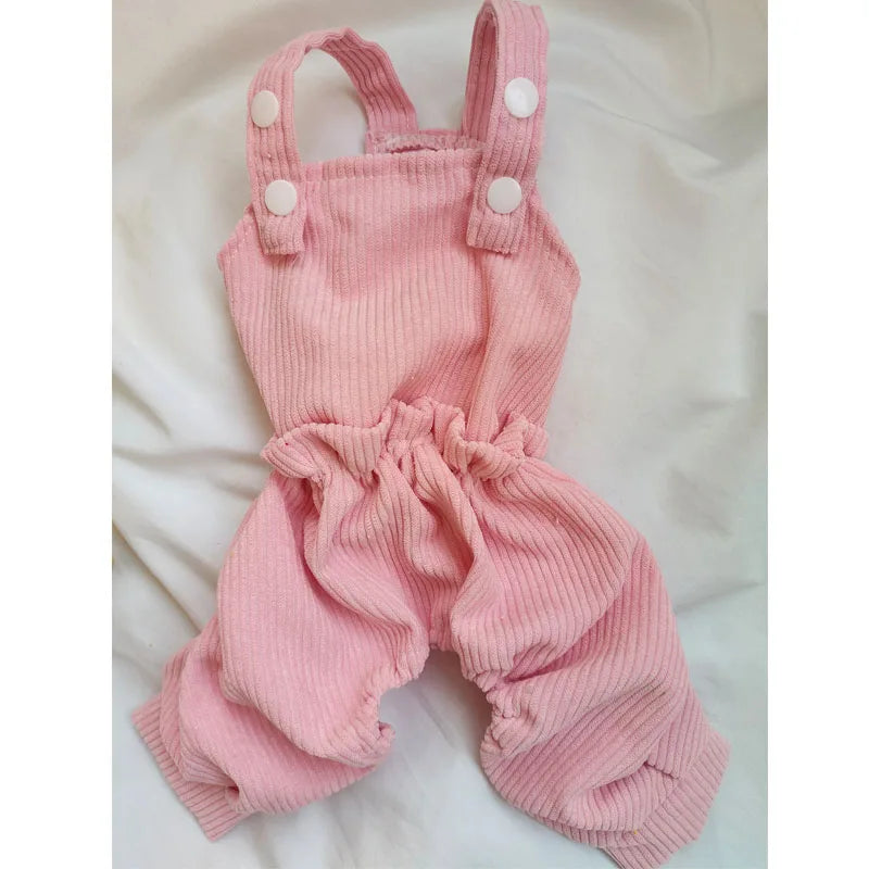 Waterproof Dog Raincoat – Summer Lightweight Outdoor Coat for Small Dogs