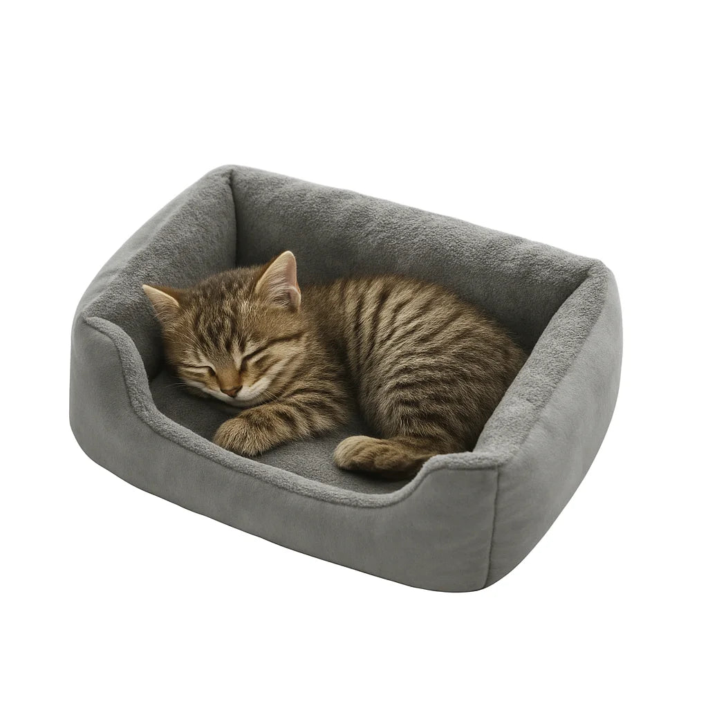 Cozy Pet Bed & Cushion House