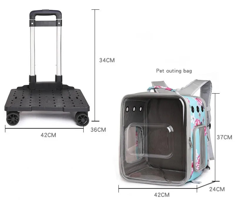 Folding Transparent Cat Stroller