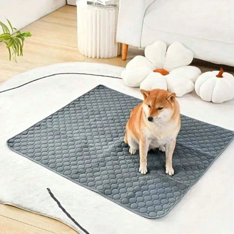 Reusable Waterproof Dog Pee Pad – Washable Training Mat