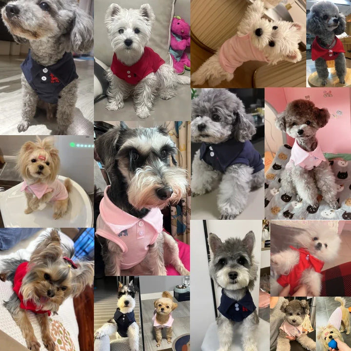 Pet Dog Polo Shirt – Breathable Puppy Vest for Small & Medium Dogs