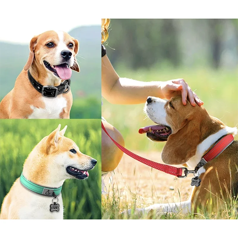 Padded Reflective Dog Collar – Adjustable Nylon Neoprene for All Sizes