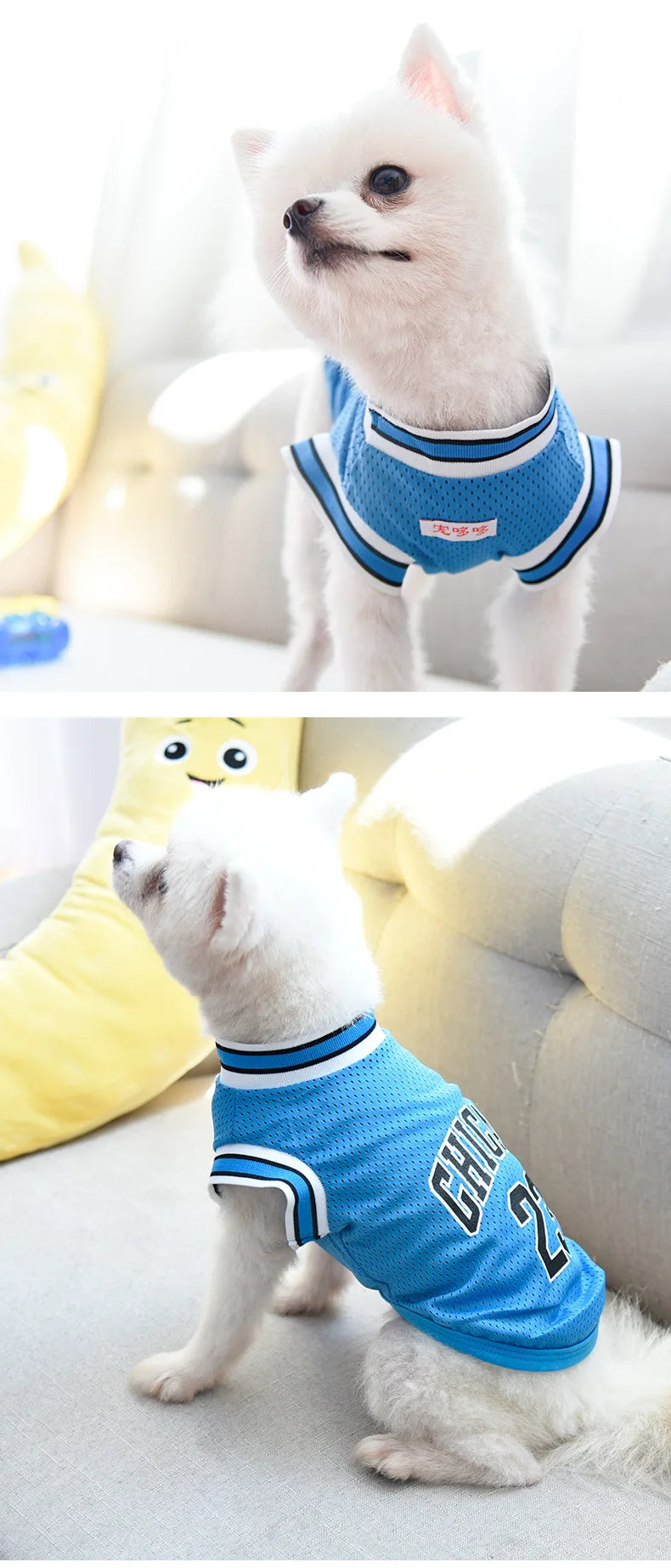 Mesh Breathable Dog Jersey – Summer Pet T-Shirt