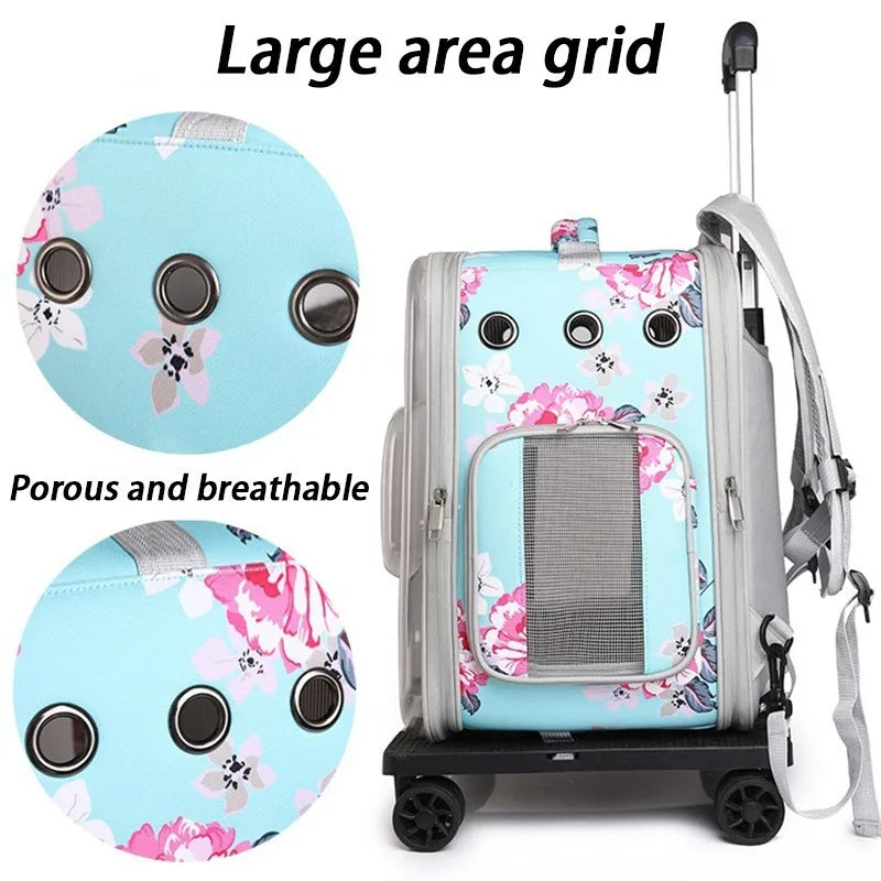 Folding Transparent Cat Stroller