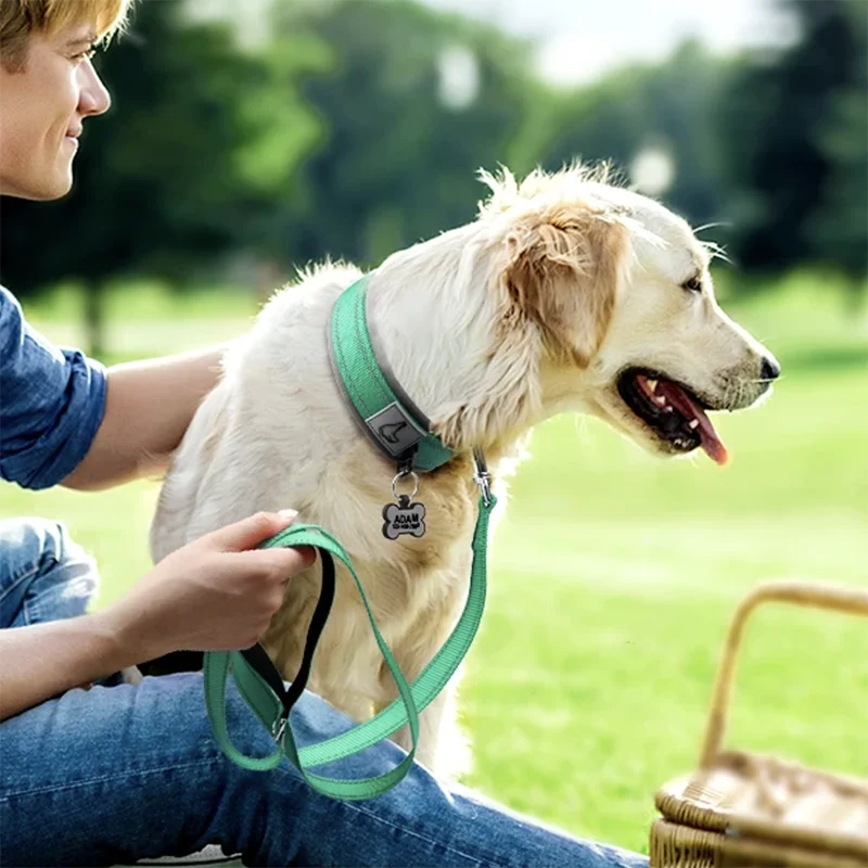 Padded Reflective Dog Collar – Adjustable Nylon Neoprene for All Sizes