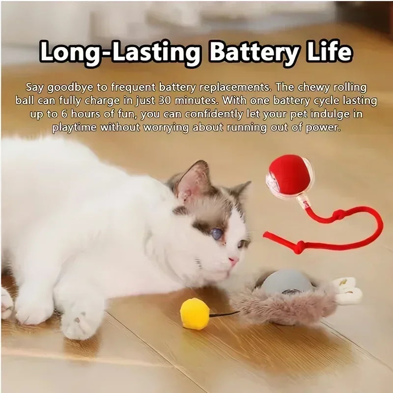 Rechargeable Interactive Cat Toy Ball – Automatic Rolling Pet Toy with Tail