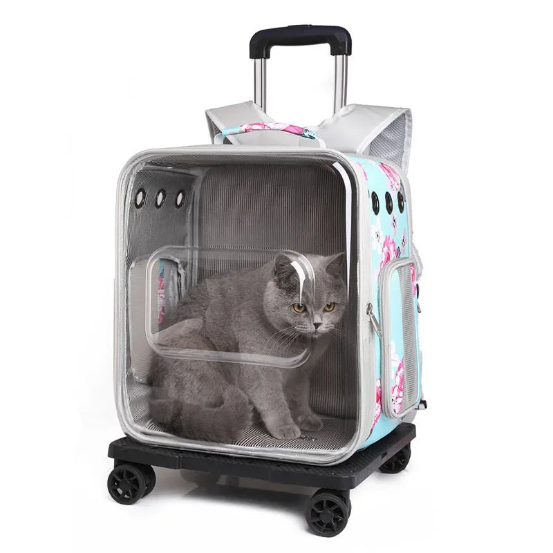 Folding Transparent Cat Stroller