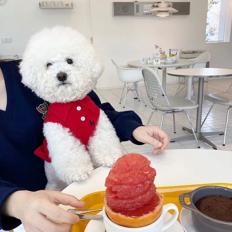 Pet Dog Polo Shirt – Breathable Puppy Vest for Small & Medium Dogs