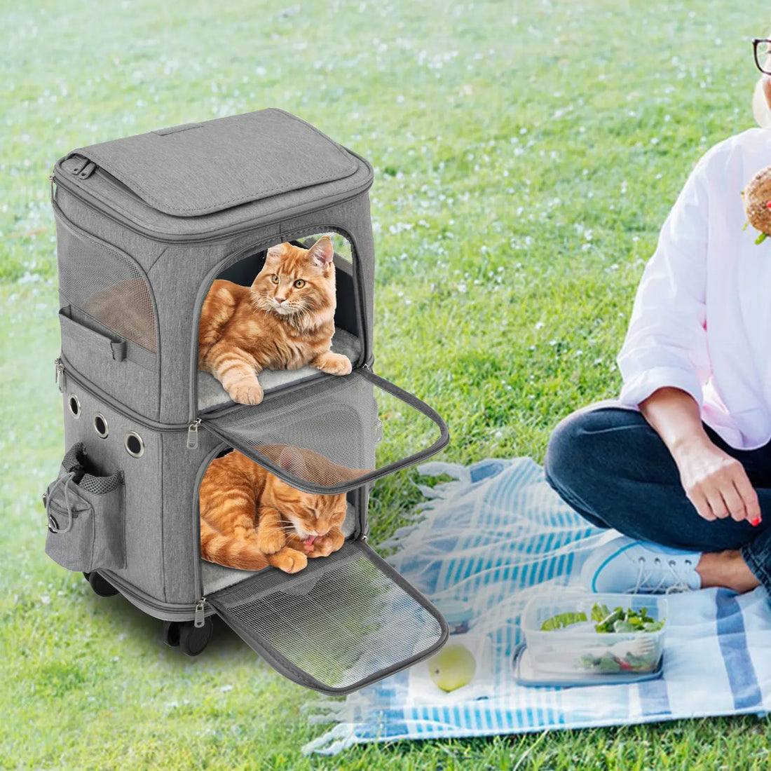 Double-Compartment Pet Rolling Carrier – Ventilated Cat & Small Dog Travel Bag