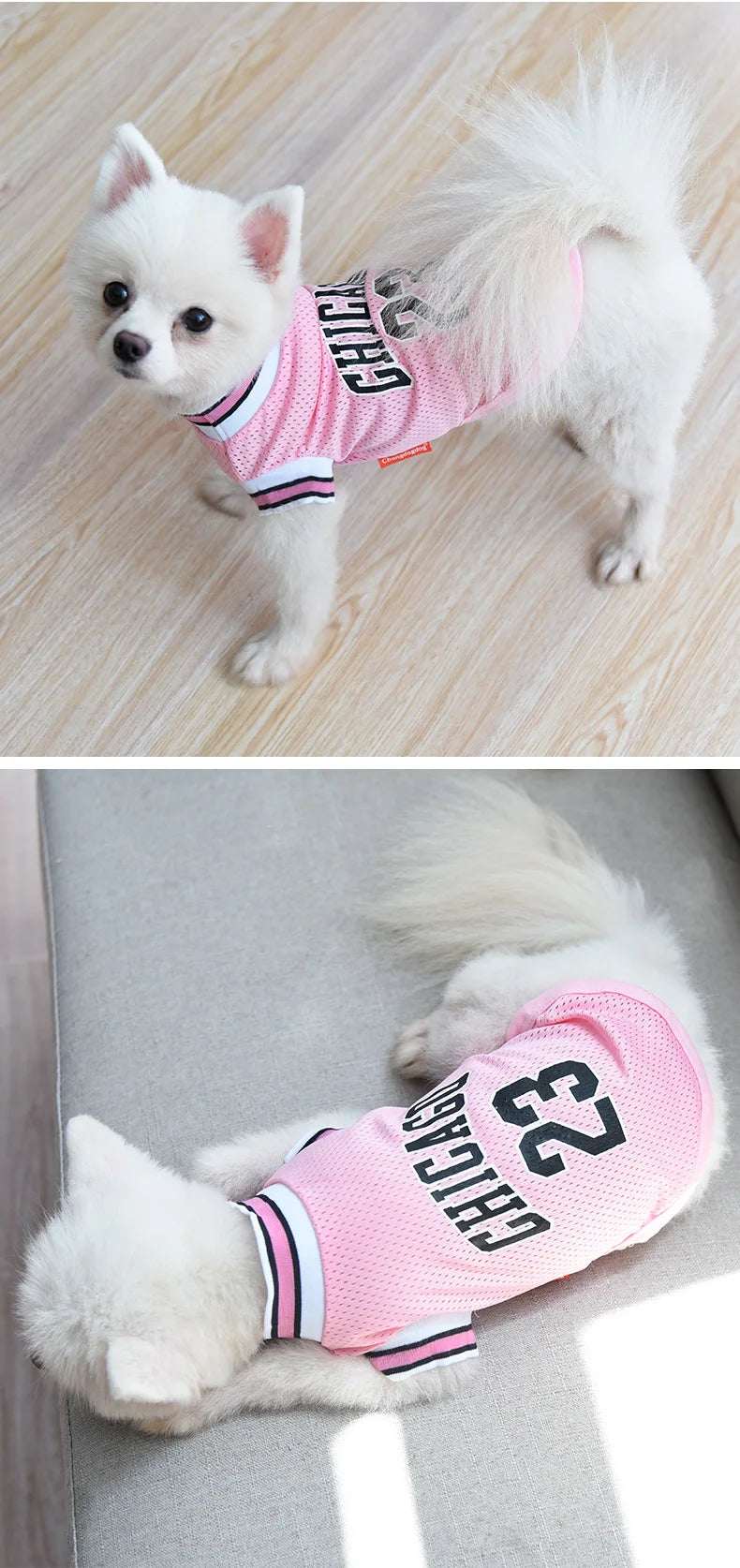 Mesh Breathable Dog Jersey – Summer Pet T-Shirt
