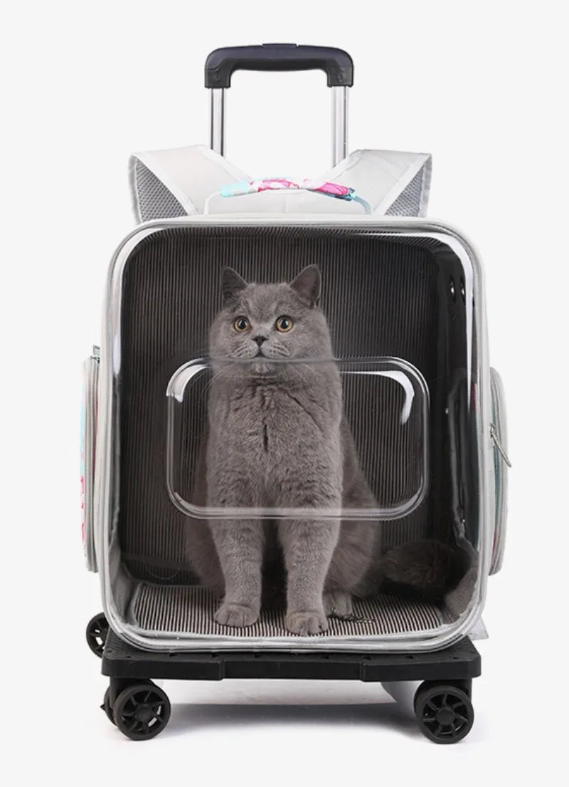 Folding Transparent Cat Stroller