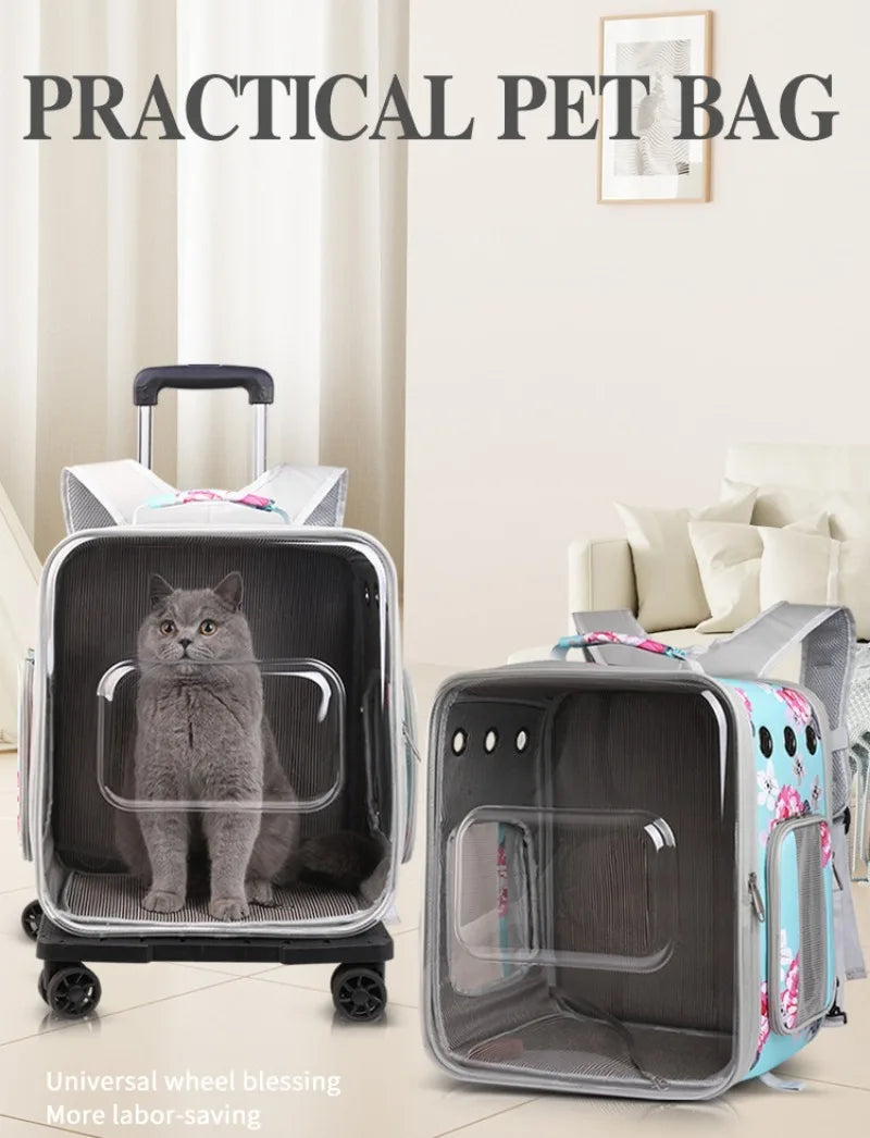 Folding Transparent Cat Stroller