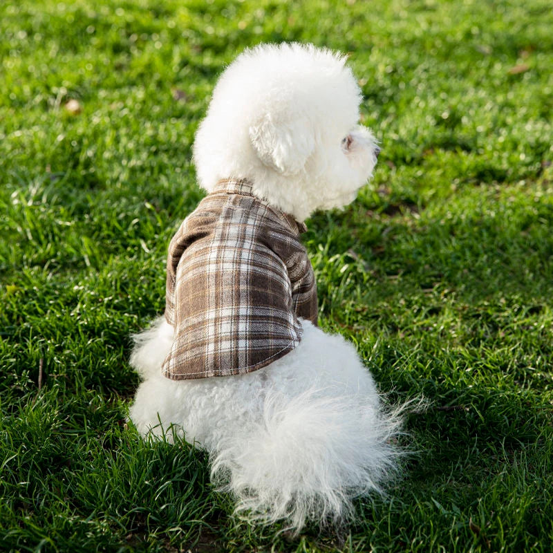 Cooling Pet Mat – Breathable Summer Pad for Dogs & Cats