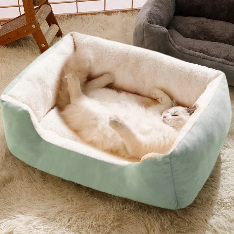 Cozy Pet Bed & Cushion House