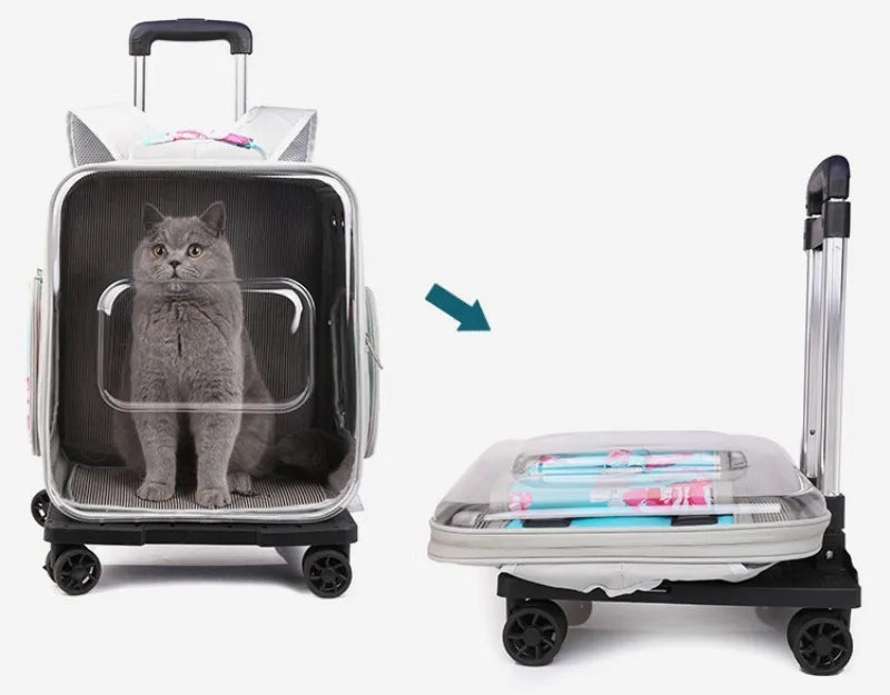 Folding Transparent Cat Stroller