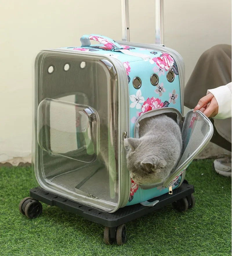 Folding Transparent Cat Stroller