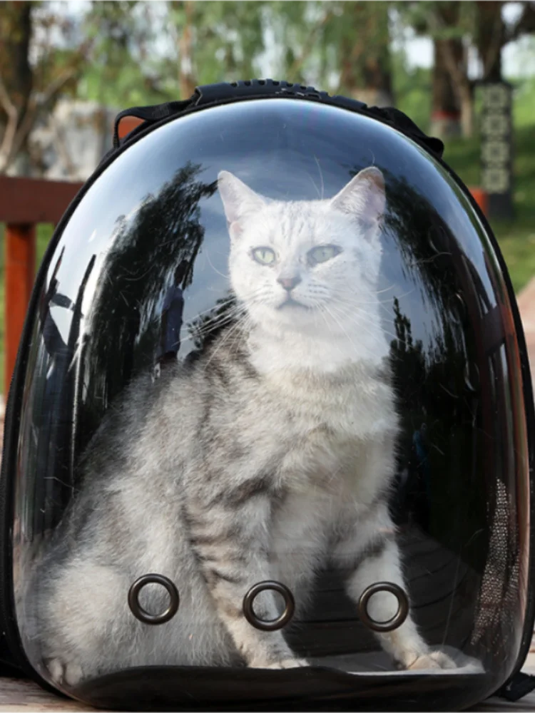 Transparent Space Capsule Pet Backpack