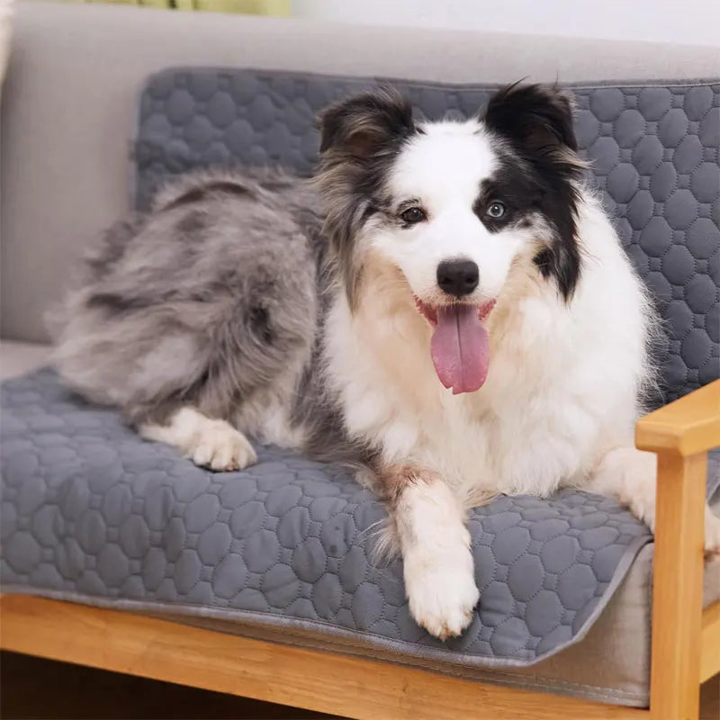 Reusable Waterproof Dog Pee Pad – Washable Training Mat