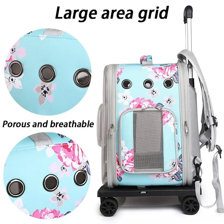 Folding Transparent Cat Stroller