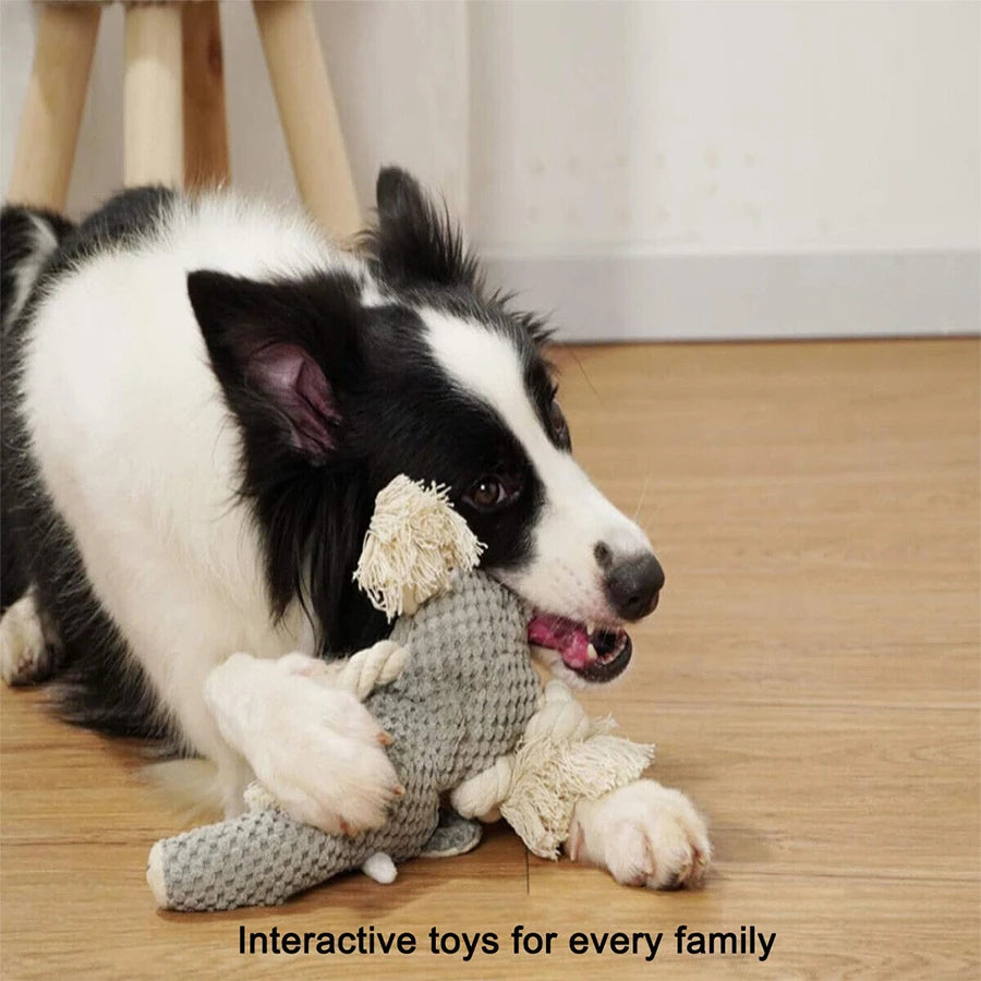 Bite-Resistant Plush Squeaky Dog Toy