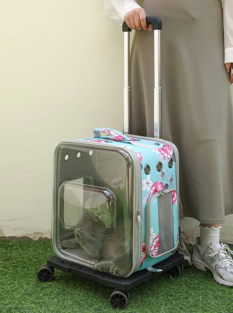 Folding Transparent Cat Stroller