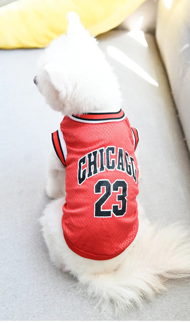 Mesh Breathable Dog Jersey – Summer Pet T-Shirt
