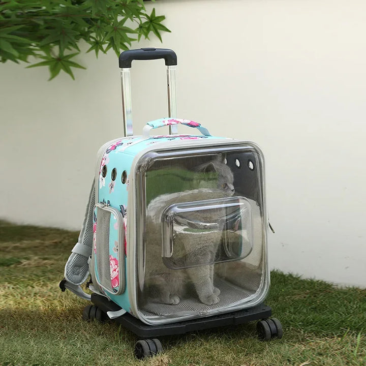 Folding Transparent Cat Stroller