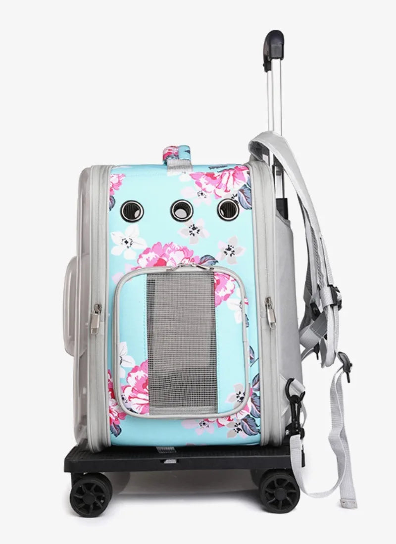Folding Transparent Cat Stroller