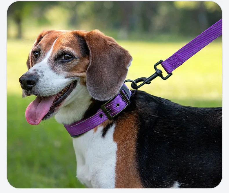 Padded Reflective Dog Collar – Adjustable Nylon Neoprene for All Sizes