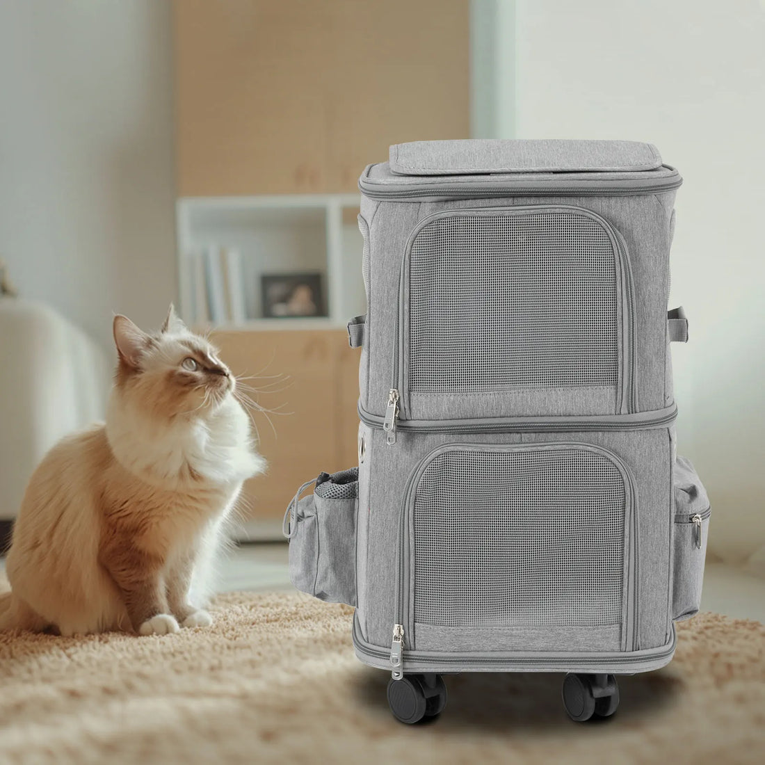 Double-Compartment Pet Rolling Carrier – Ventilated Cat & Small Dog Travel Bag