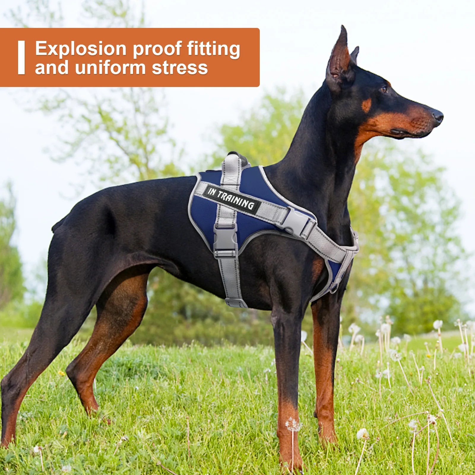 Service Dog Vest Harness – No Pull Large Dog Control Strap