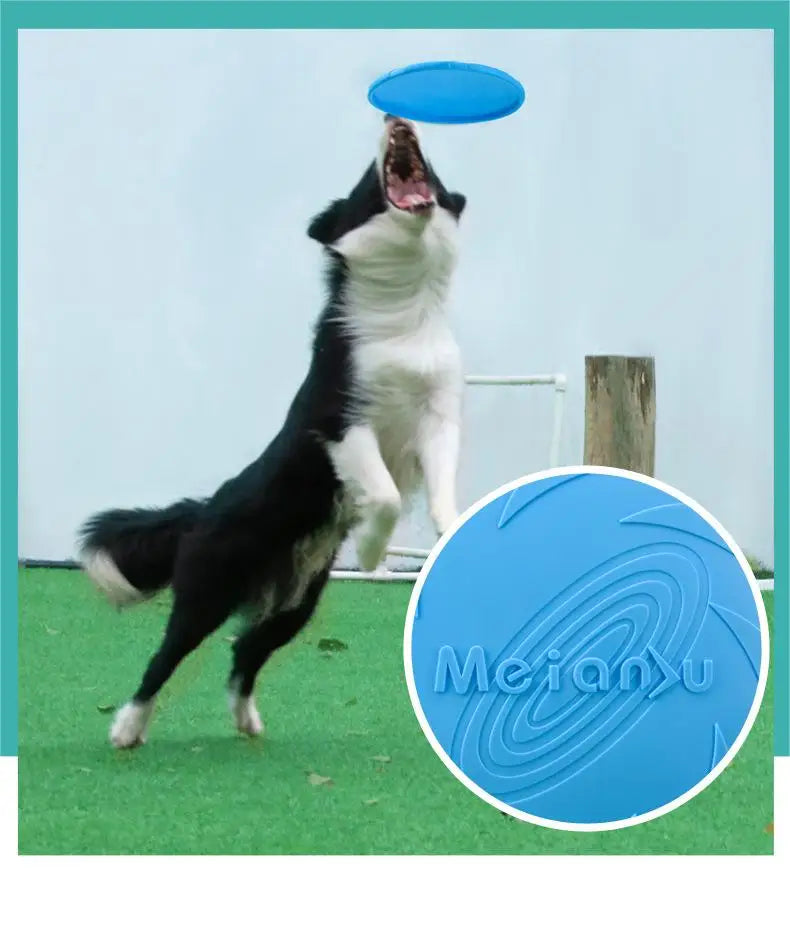 Durable Dog Flying Disc – Bite Resistant Outdoor Training Toy